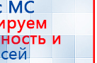 СКЭНАР-1-НТ (исполнение 02.2) Скэнар Оптима купить в Балахне, Аппараты Скэнар купить в Балахне, Медицинская техника - denasosteo.ru
